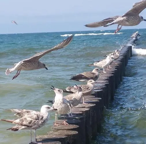 Апартаменты Royal Maris 5 - Dwuosobowy, Najlepsza Lokalizacja W Ustce, Blisko Plazy I Portu, Bezplatny Parking, Scisle Centrum Устка