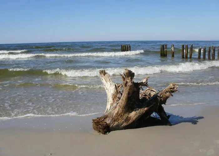 Апартаменты Royal Maris 5 - Dwuosobowy, Najlepsza Lokalizacja W Ustce, Blisko Plazy I Portu, Bezplatny Parking, Scisle Centrum Устка